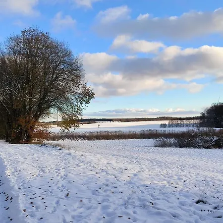 Ostseestern Mit Sauna